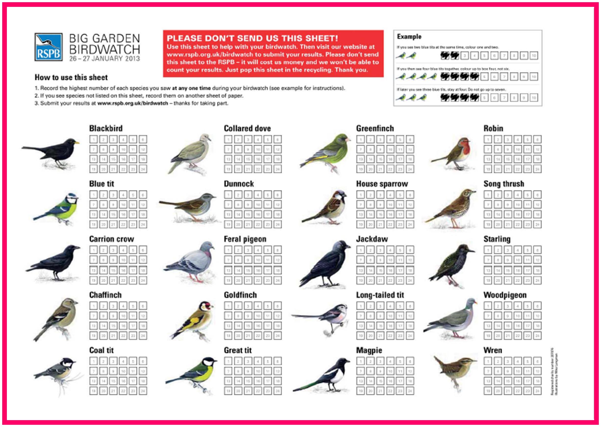 rspb big garden birdwatch print sheet