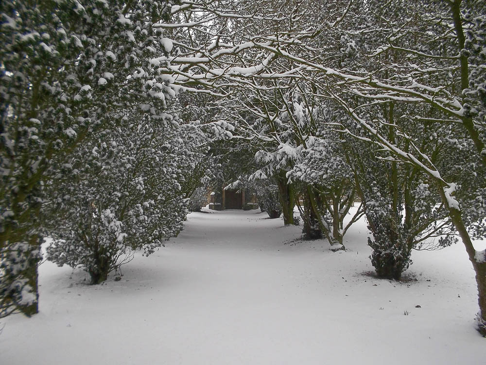 snowy trees snow church photo uk britain england snowy weather