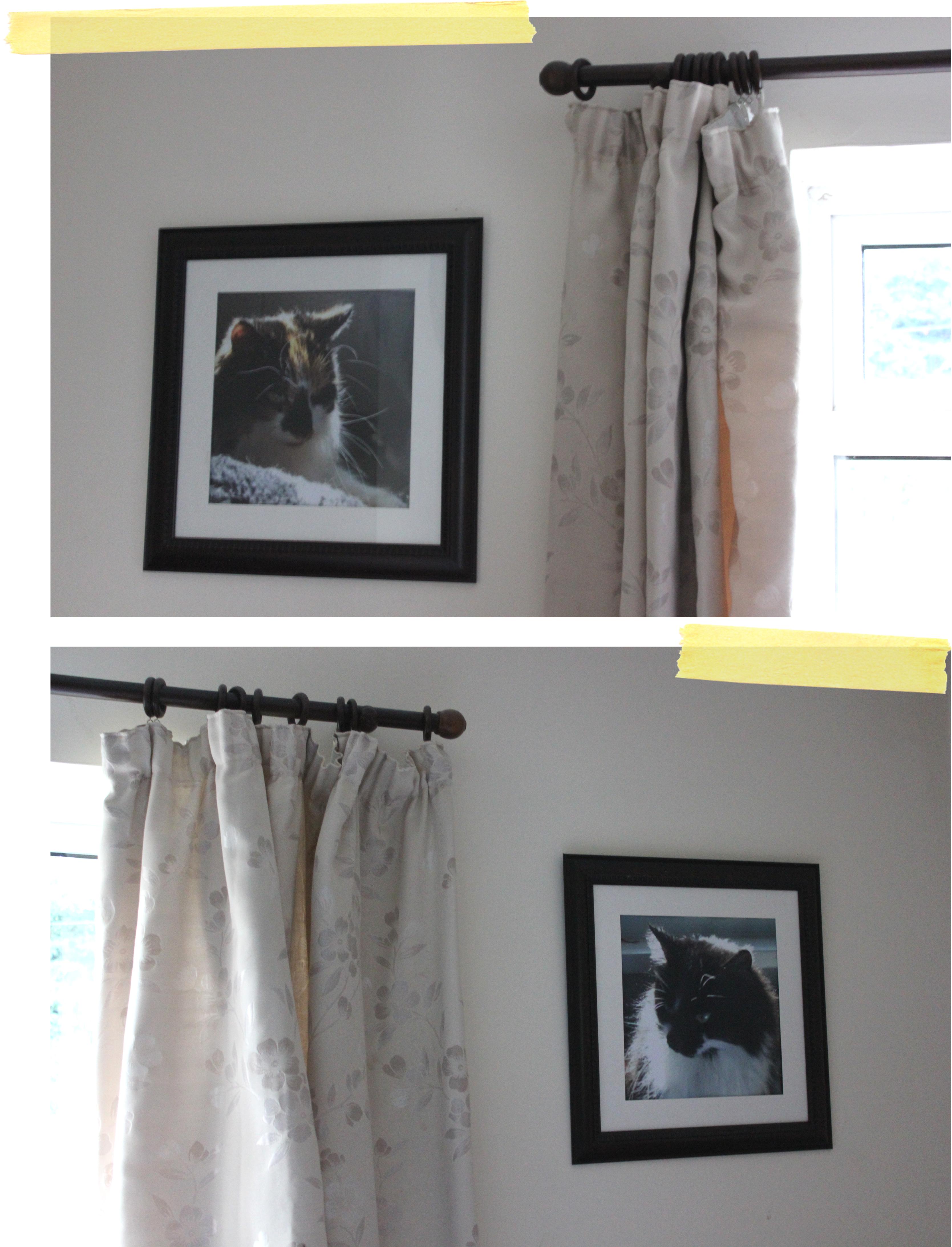 diy making large wall art cat poster prints printed com
