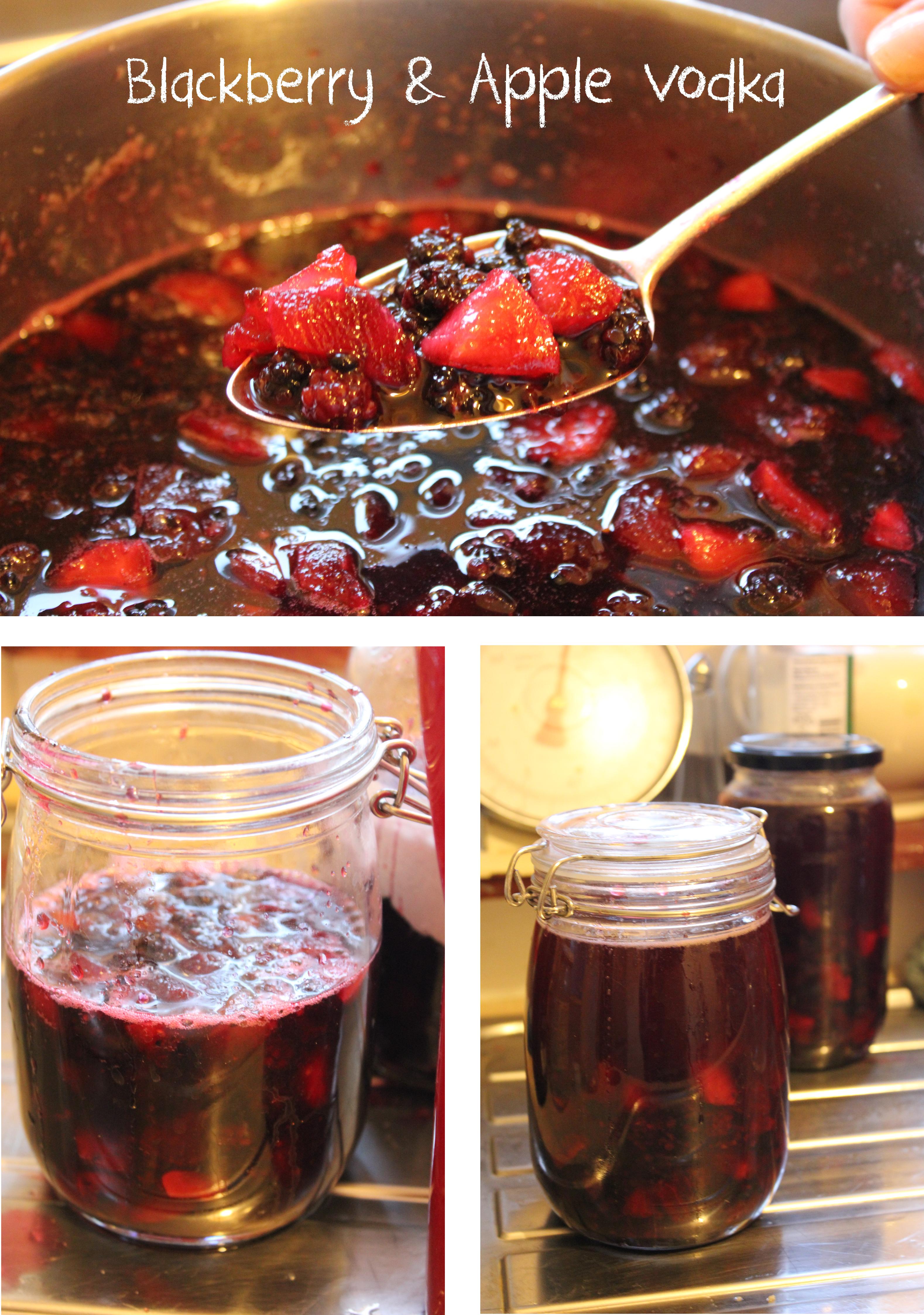Blackberry and Apple Vodka Making Fruit Alcohol Recipe