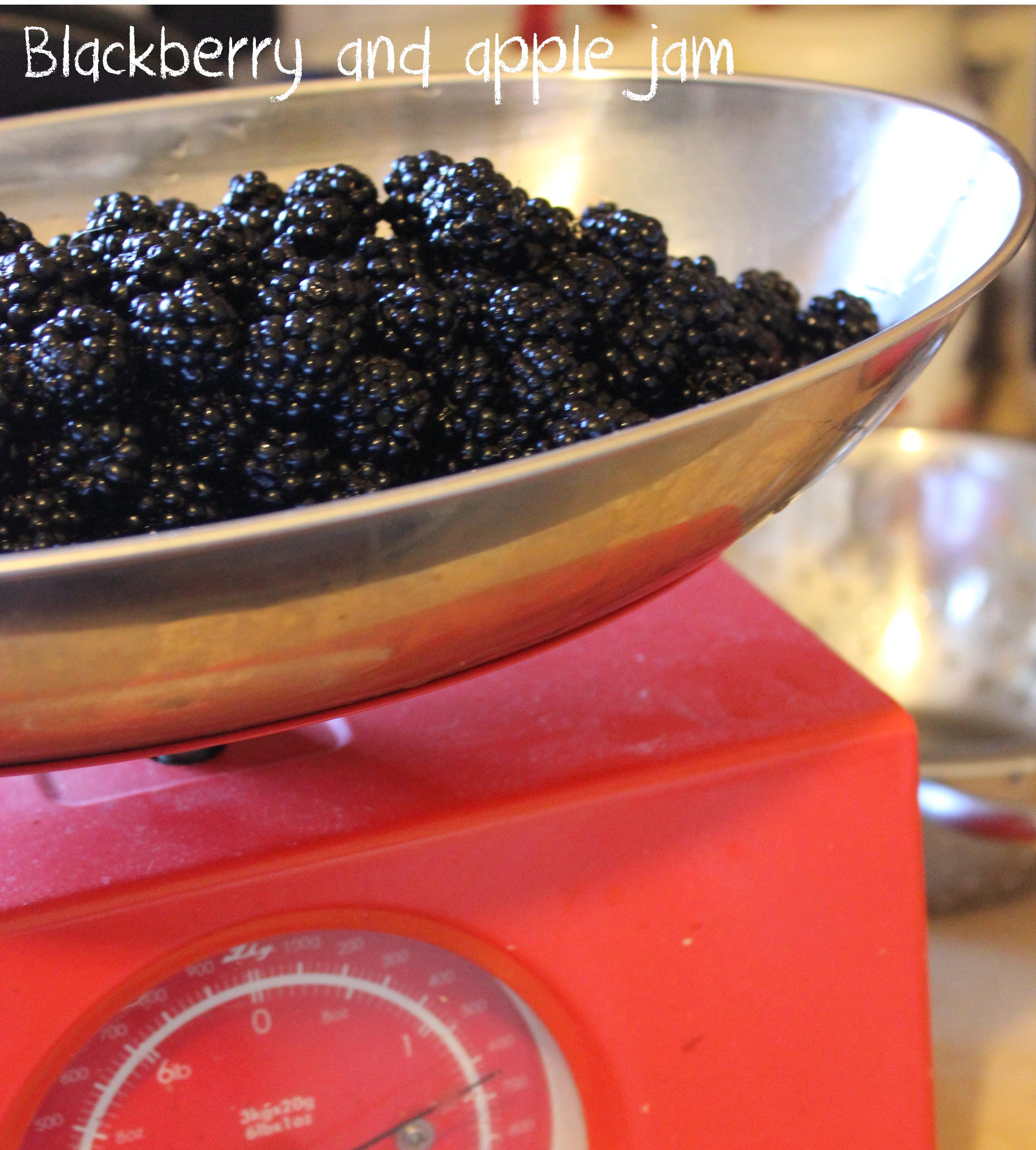 making preserves - blackberry and apple jam recipe