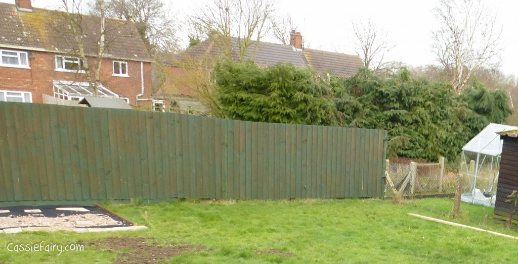 Garden makeover - new fence -1