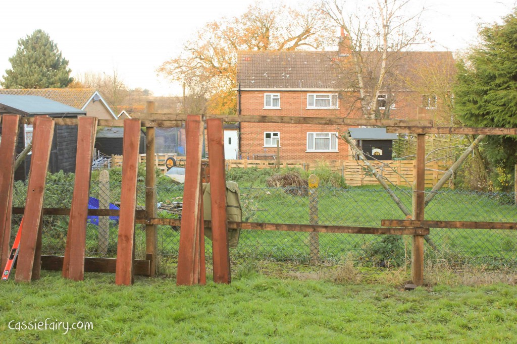Garden makeover - new fence -3