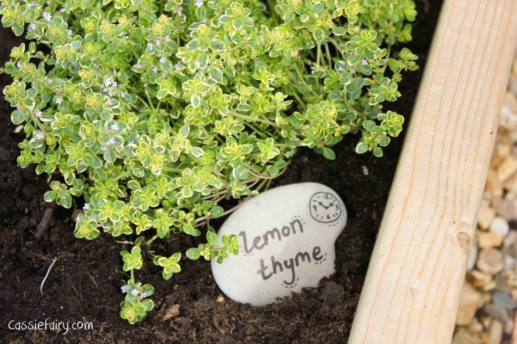 DIY plant markers for garden using pebbles