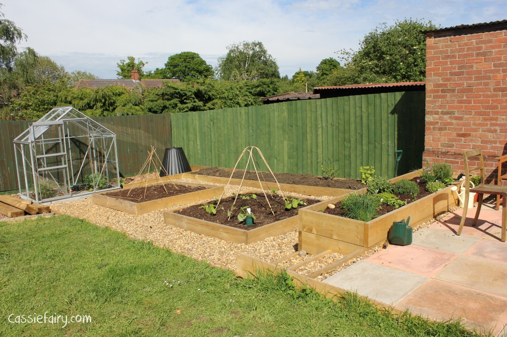 DIY raised herb garden veggie patch and patio-6