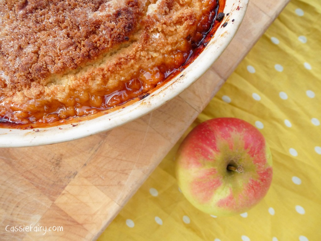 apple cinnamon and sultana recipe for the great blogger bake off-9