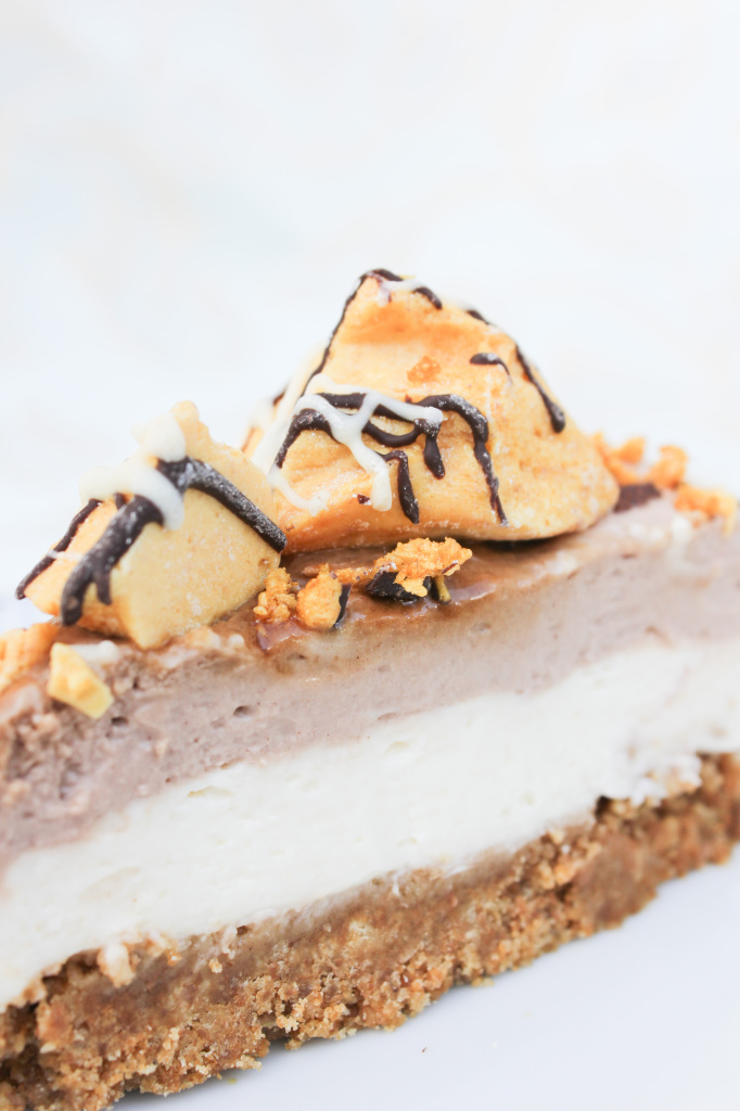 Pact Cinder Toffee Coffee Cheesecake_-9