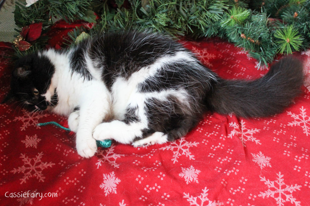 cat christmas gift guide 2014-3
