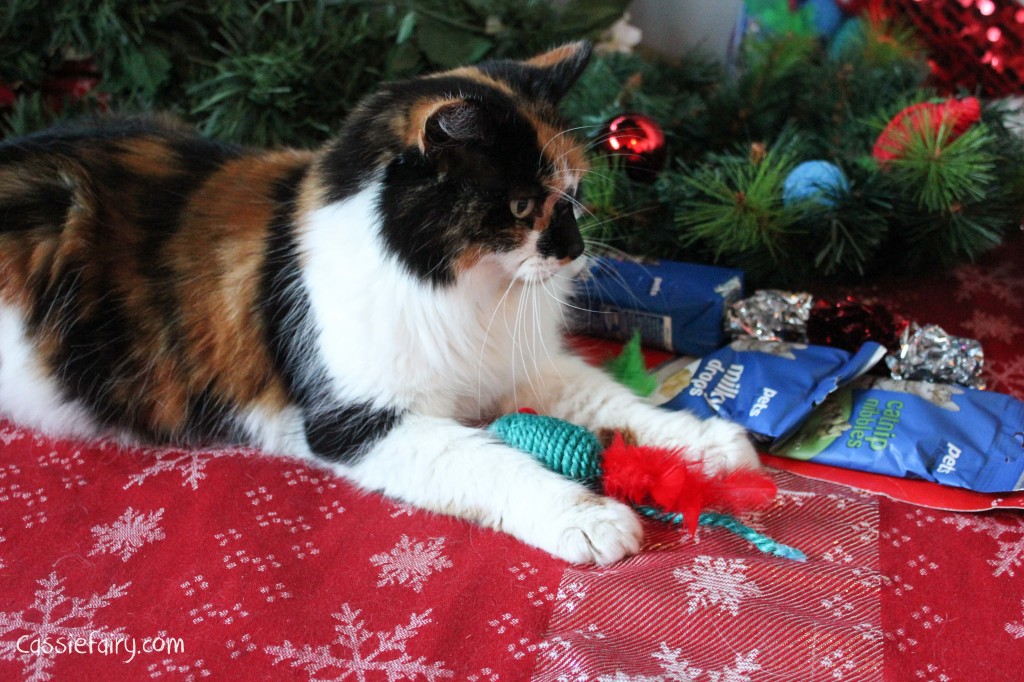 cat christmas gift guide-4