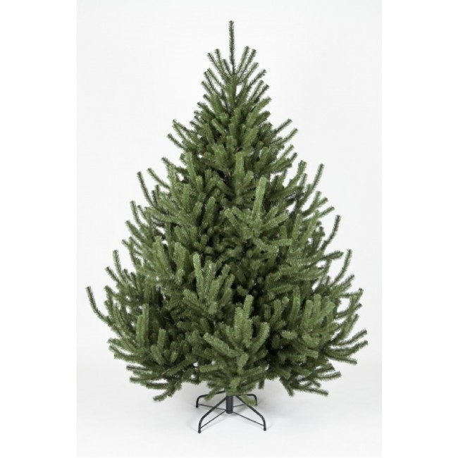 mountain pine christmas tree