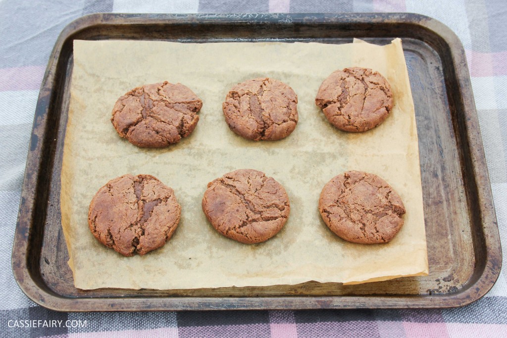 cassiefairy pieday friday blog recipe chocolate smarties cookies diy-7