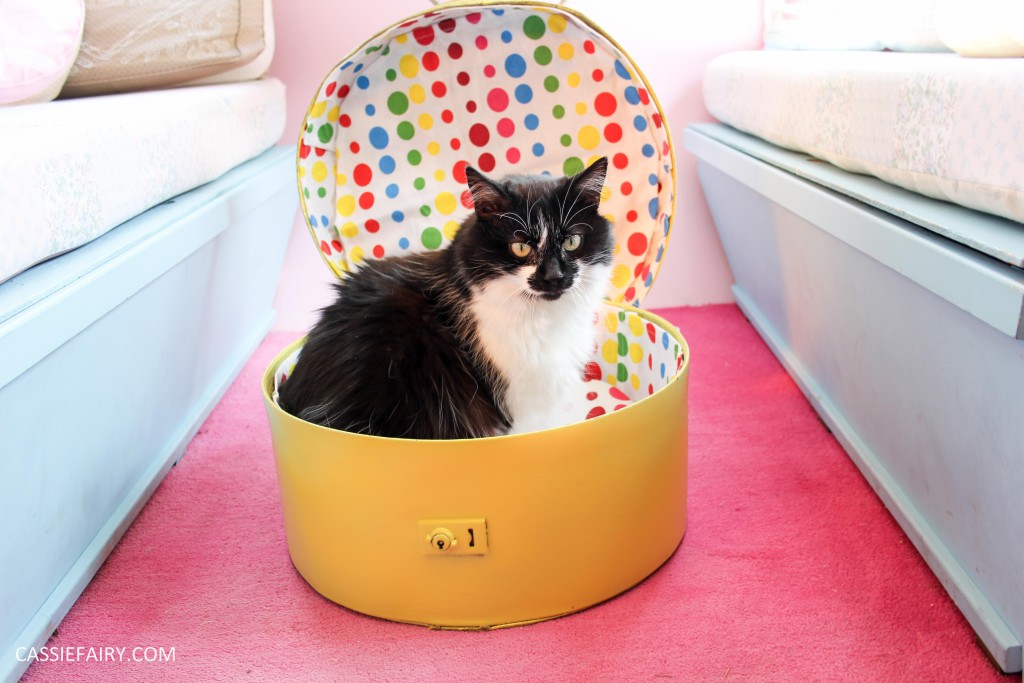 diy cat hat box - suitcase bed for pets-24