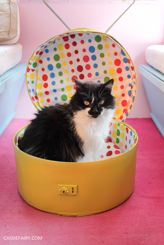 DIY hat box cat bed for “Hug Your Cat Day” | My Thrifty Life by Cassie ...