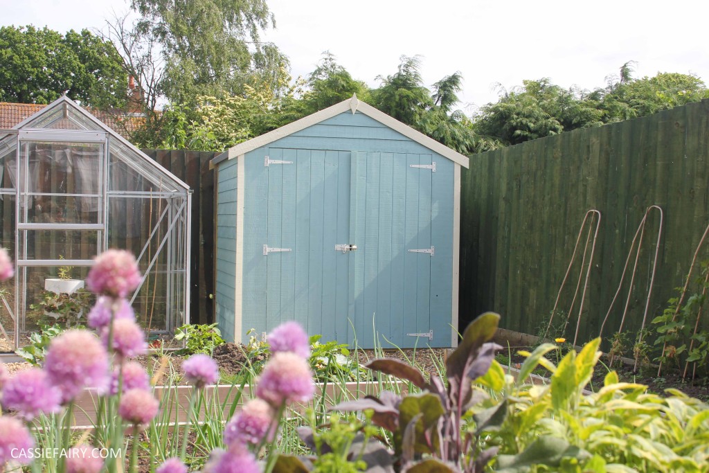 diy painting and installing small shed - duck egg blue beach hut in garden-20