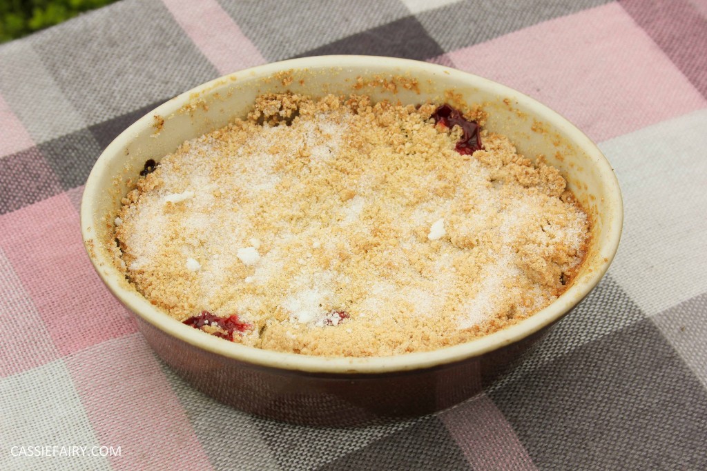 recipe blog post for plum and cherry crumble-5