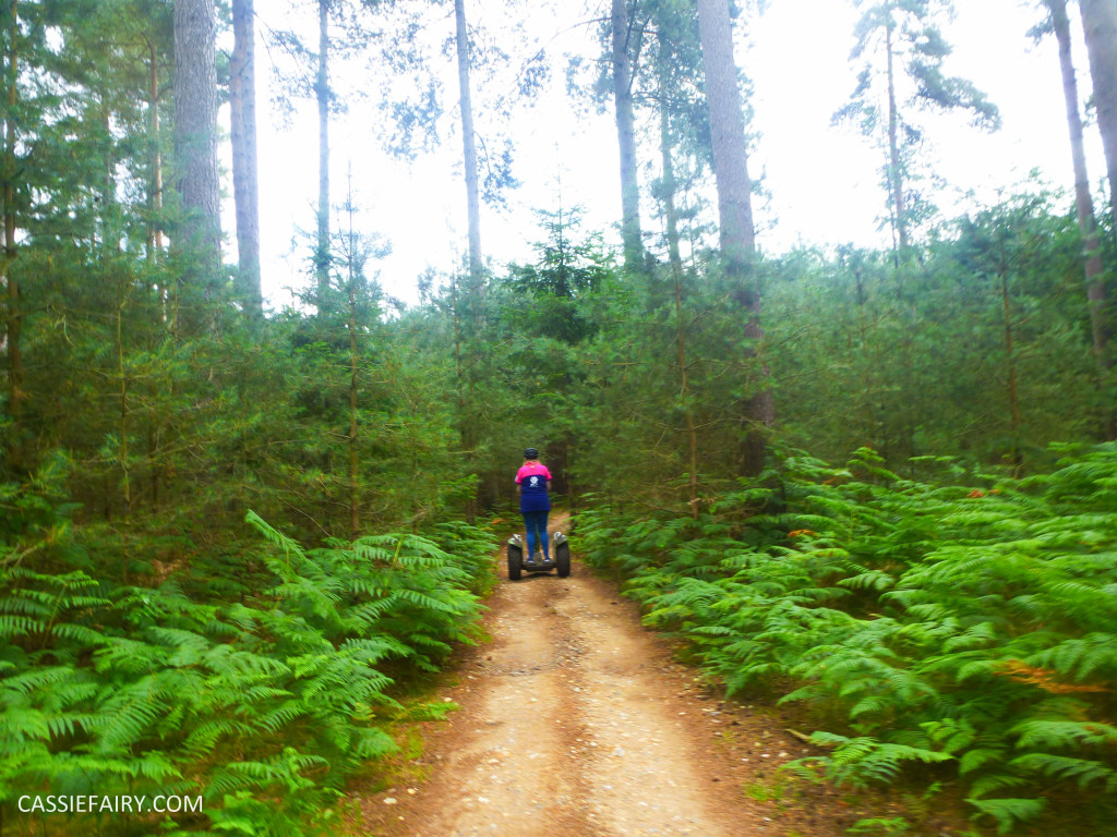 school summer holiday activity high lodge thetford forest segway adventure go ape review-12