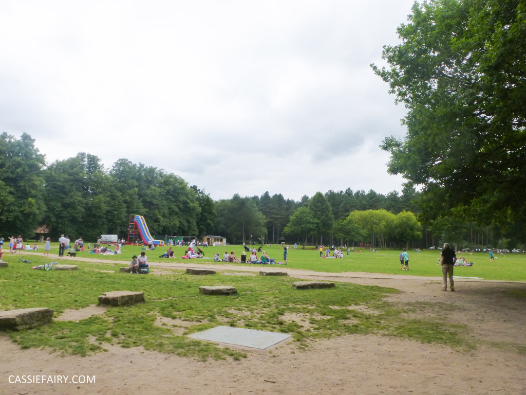 school summer holiday activity high lodge thetford forest segway adventure go ape review-3