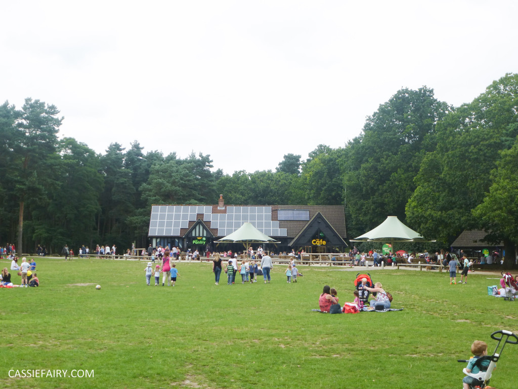 school summer holiday activity high lodge thetford forest segway adventure go ape review-9