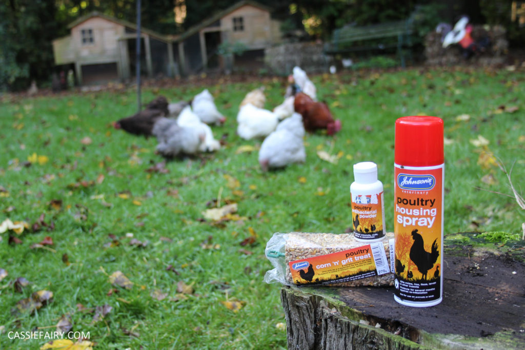 chicken poultry pet health tips products