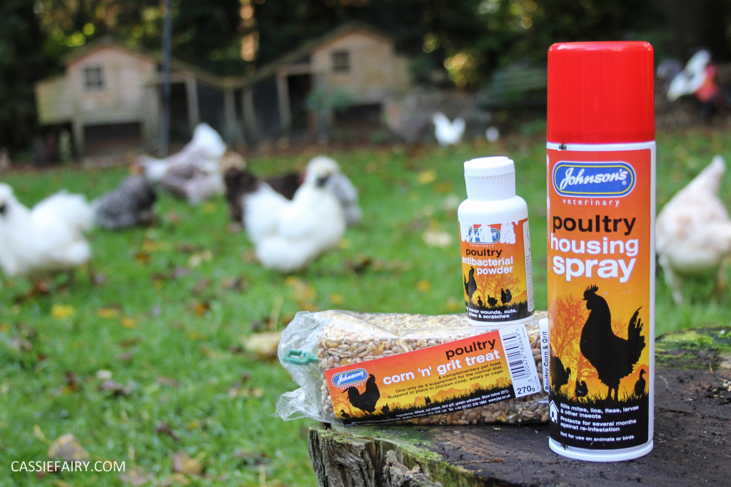 chicken poultry pet health tips products-2