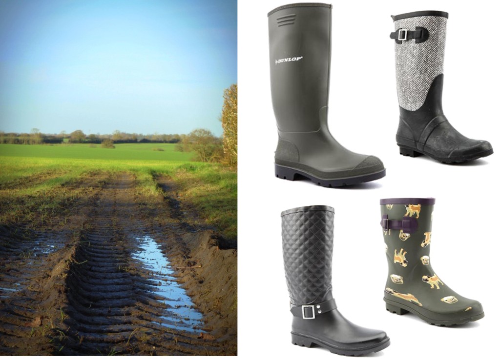 countryside field muddy photograph tuesday shoesday wellies