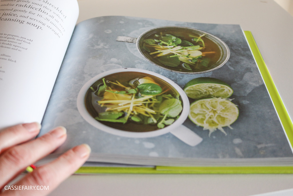 broth and ramen cook book review pieday friday cooking recipe ideas-10