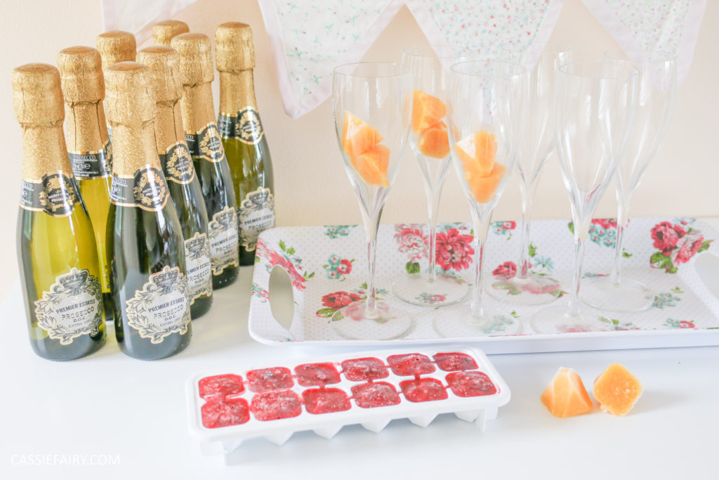 wedding hen party queens birthday celebration idea diy fruit puree ice cubes recipe-32