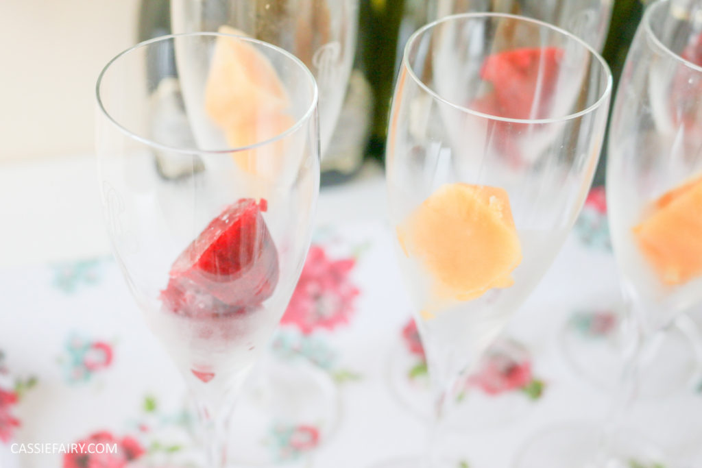 wedding hen party queens birthday celebration idea diy fruit puree ice cubes recipe-35