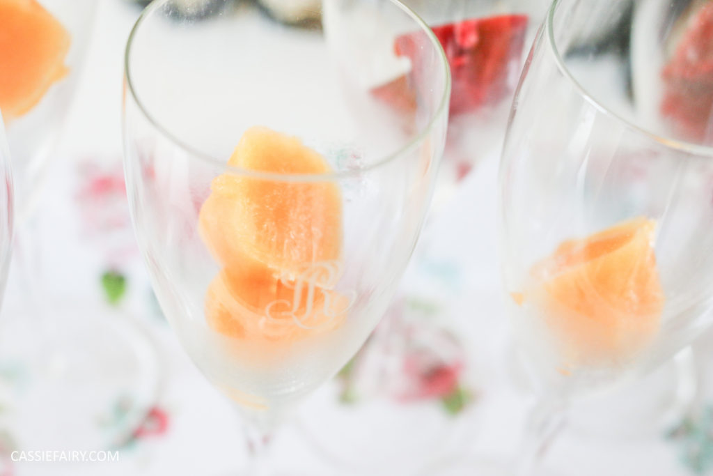 wedding hen party queens birthday celebration idea diy fruit puree ice cubes recipe-36