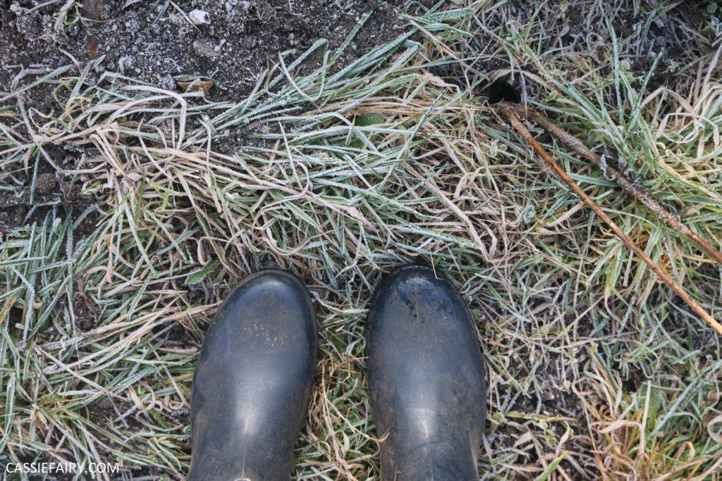Photo of feet in welly boots on frosty grass