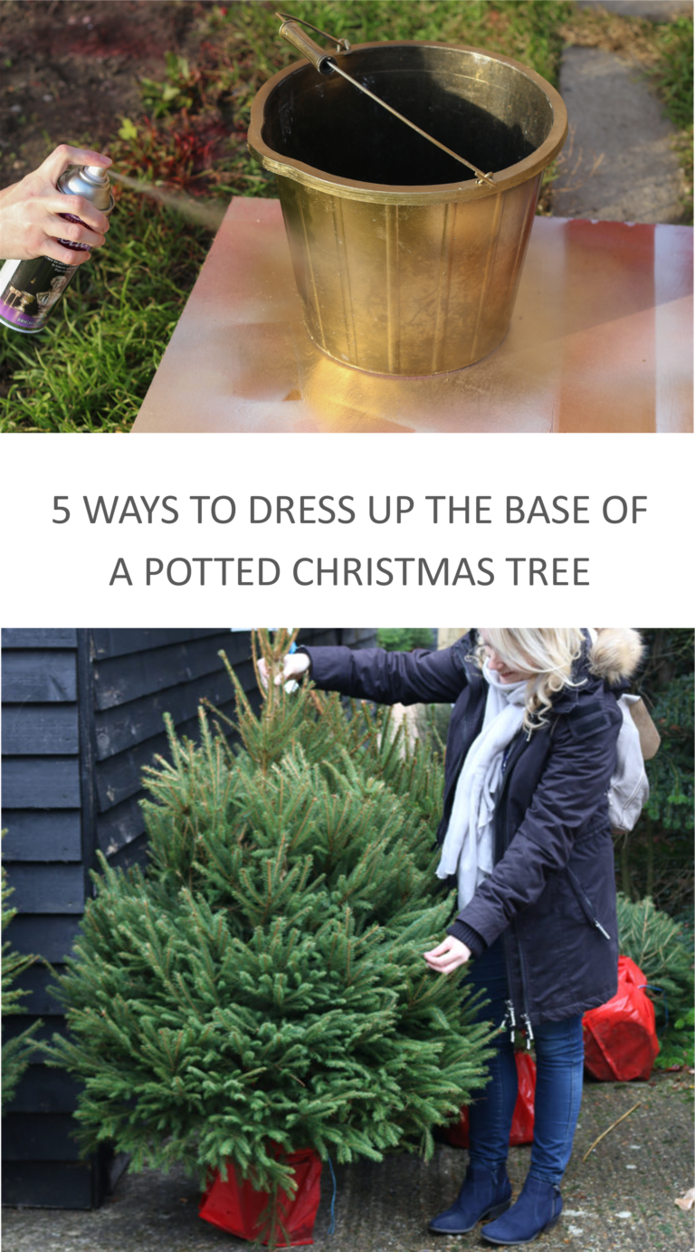 5 Ways to dress up the base of a potted Christmas tree to bring it