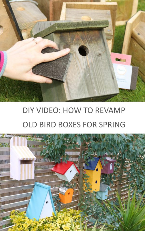 DIY Video: How to revamp old nesting boxes & where to hang them to ...