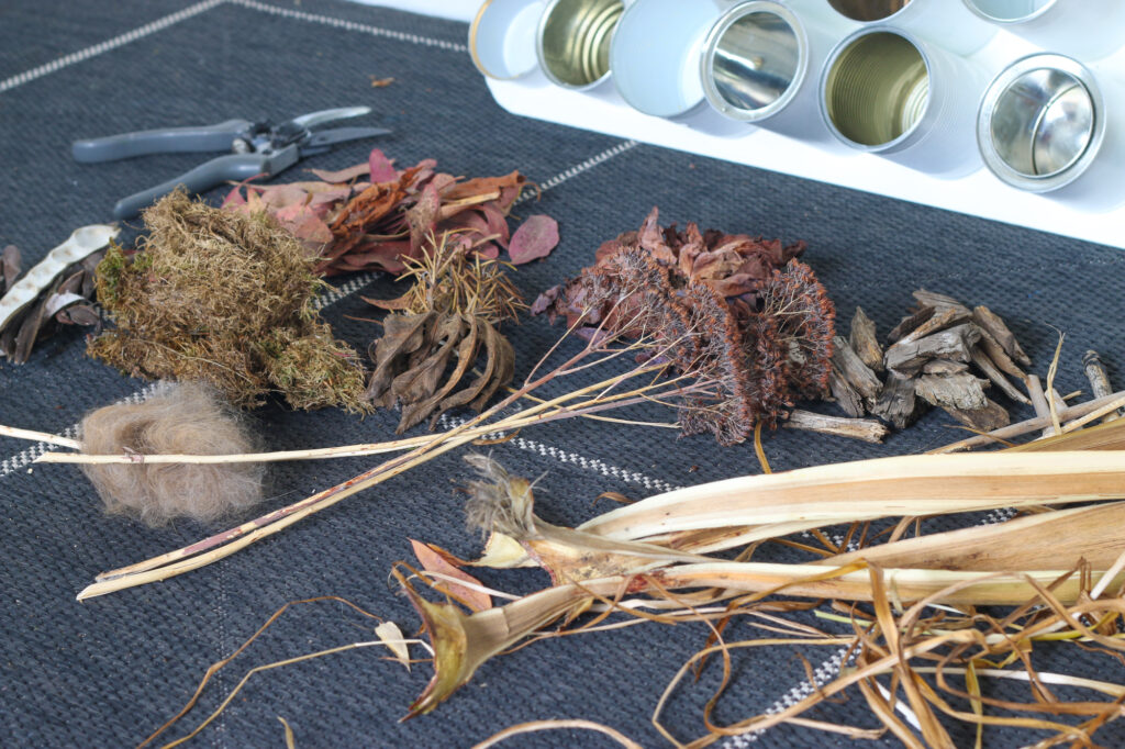 Image shows cuttings of dried seed heads, leaves, grasses, bark, moss and wool to use as filling for the bug hotel 