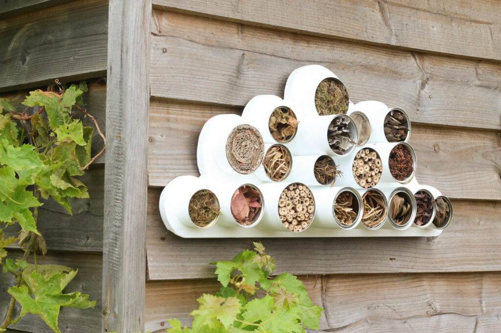 Image shows a cloud-shaped bug hotel attached to the side of a shed