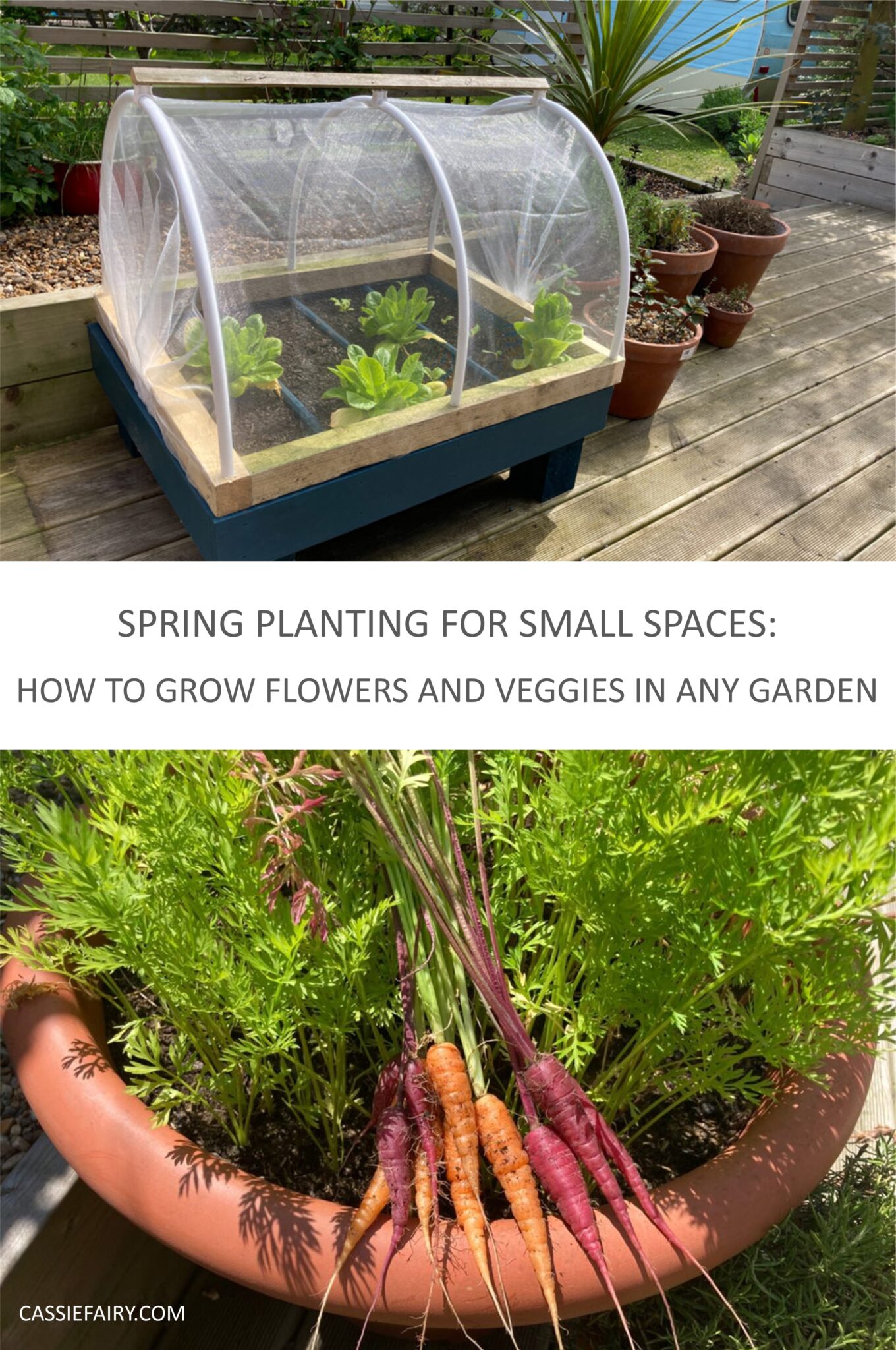 Spring Mini Plant Spring planting for small spaces: How to grow flowers and veggies in ...