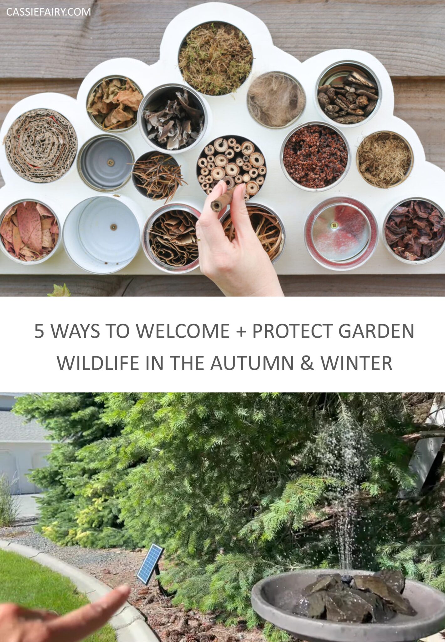 5 Ways to welcome and protect garden wildlife over the autumn and winter