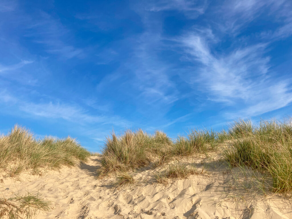 Grassy sand dunes with a bright blue sky above with wispy clouds.