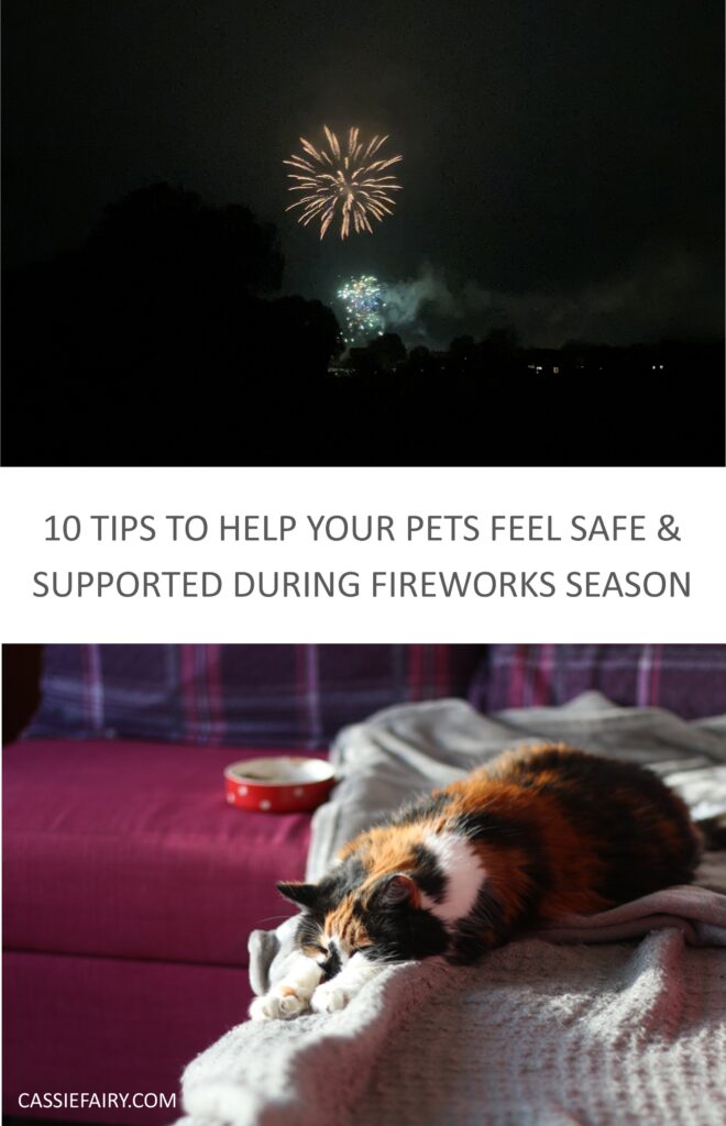 Pinnable image with the text "10 Tips to help your dogs, cats & small animals feel safe & supported during fireworks season".