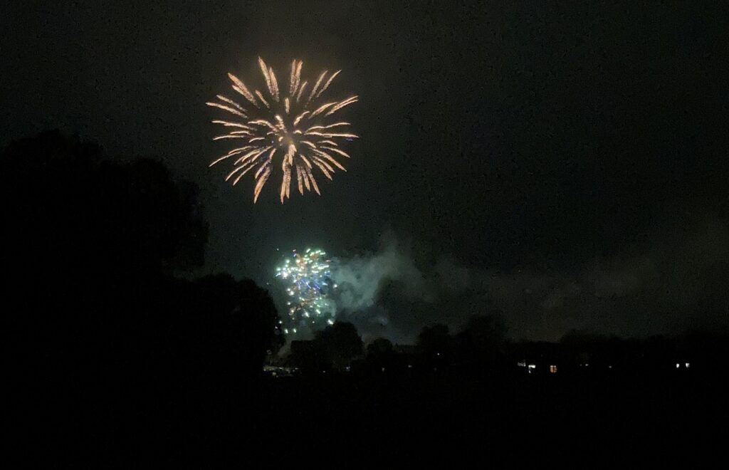A golden firework exploding in a dark sky.